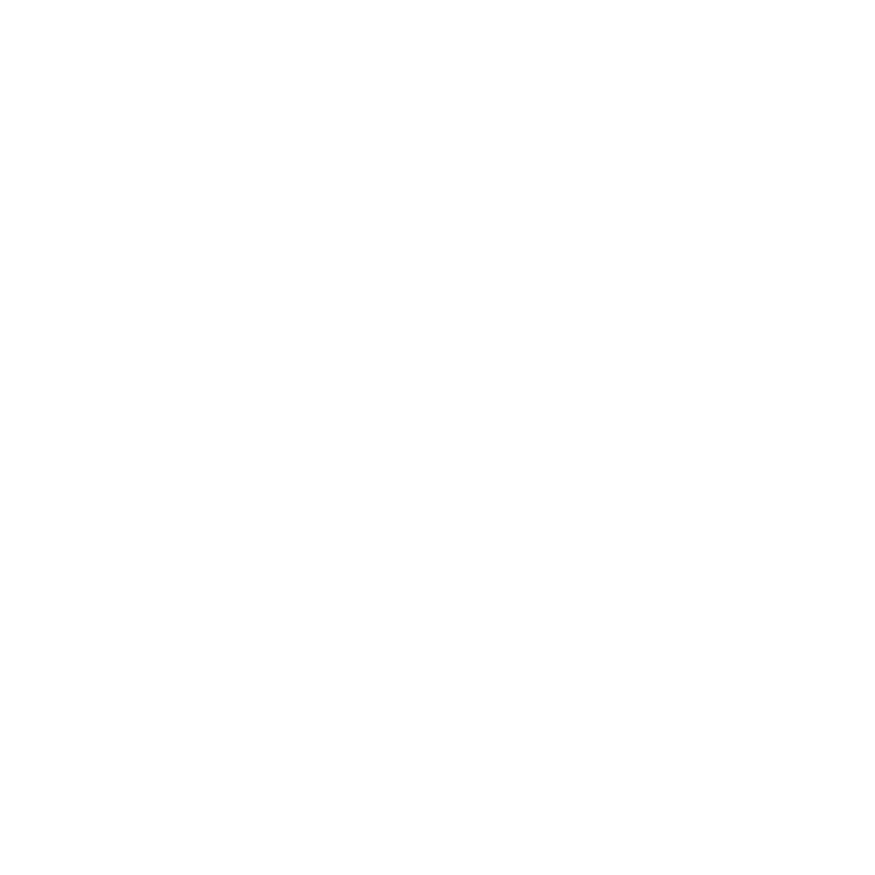 Blu Marketing Firm